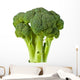 Broccoli Wall Decal