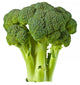 Broccoli Wall Decal