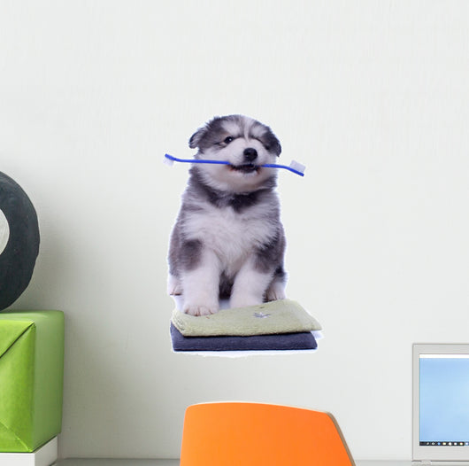 Healthy Husky Puppy Wall Decal