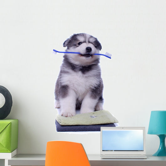Healthy Husky Puppy Wall Decal