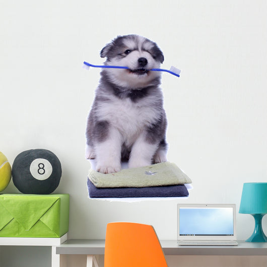 Healthy Husky Puppy Wall Decal
