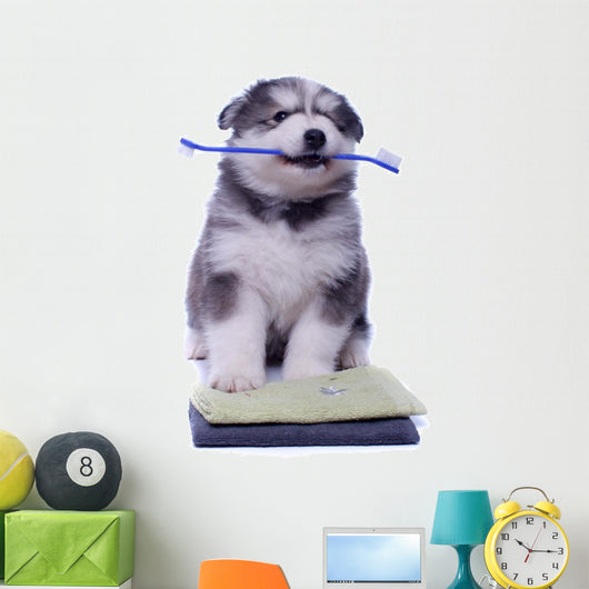 Healthy Husky Puppy Wall Decal
