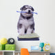 Healthy Husky Puppy Wall Decal
