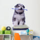 Healthy Husky Puppy Wall Decal