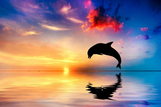 Beautiful Ocean and Sunset