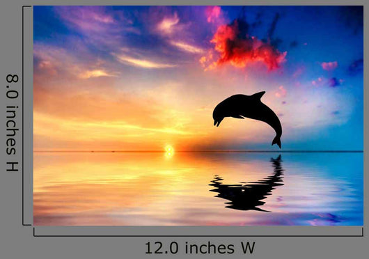 Beautiful Ocean and Sunset
