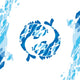 Fish Design
