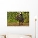 Elephant Trekking in Thai Jungle Wall Mural