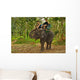 Elephant Trekking in Thai Jungle Wall Mural