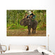 Elephant Trekking in Thai Jungle Wall Mural