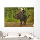 Elephant Trekking in Thai Jungle Wall Mural