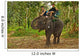 Elephant Trekking in Thai Jungle Wall Mural