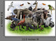 Animals Collage