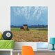 Rural Landscape with House Wall Mural