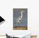Grey Heron Ardea Cinerea Wall Mural