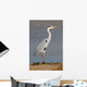 Grey Heron Ardea Cinerea Wall Mural