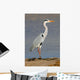 Grey Heron Ardea Cinerea Wall Mural