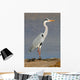 Grey Heron Ardea Cinerea Wall Mural