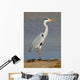 Grey Heron Ardea Cinerea Wall Mural