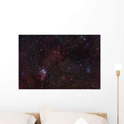 Stars Wall Mural shown on a wall