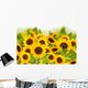 bight sunflower field Wall Mural