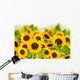 bight sunflower field Wall Mural