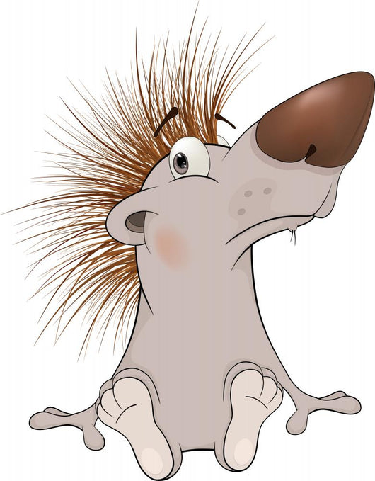 Small hedgehog. Cartoon Wall Decal