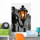 Up Alight Street Lamp