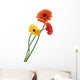 orange and yellow gerbera Wall Decal