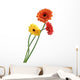 orange and yellow gerbera Wall Decal