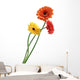 orange and yellow gerbera Wall Decal