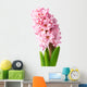 Pink Hyacinth Wall Decal