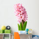Pink Hyacinth Wall Decal