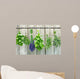 herbs Wall Mural