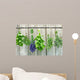 herbs Wall Mural