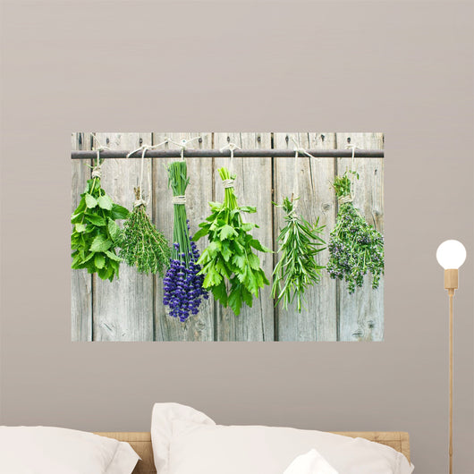 herbs Wall Mural
