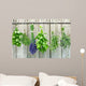 herbs Wall Mural