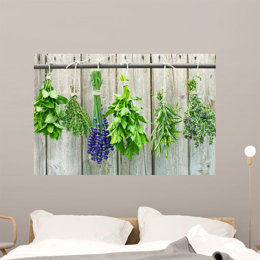 herbs Wall Mural