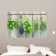 herbs Wall Mural