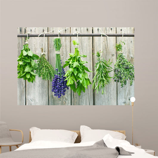 herbs Wall Mural