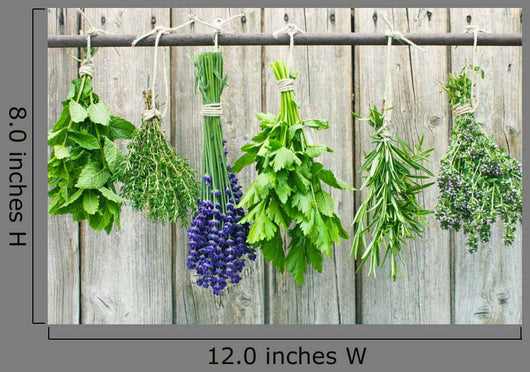 herbs Wall Mural