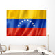 Venezuelan Flag