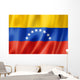 Venezuelan Flag