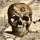 Vintage Skull Wall Mural