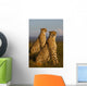 African cheetahs Wall Mural
