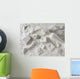 Stucco moulding Wall Mural