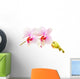 Moth Orchids - Phalaenopsis Close-up Wall Decal