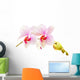 Moth Orchids - Phalaenopsis Close-up Wall Decal