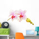 Moth Orchids - Phalaenopsis Close-up Wall Decal
