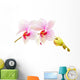 Moth Orchids - Phalaenopsis Close-up Wall Decal